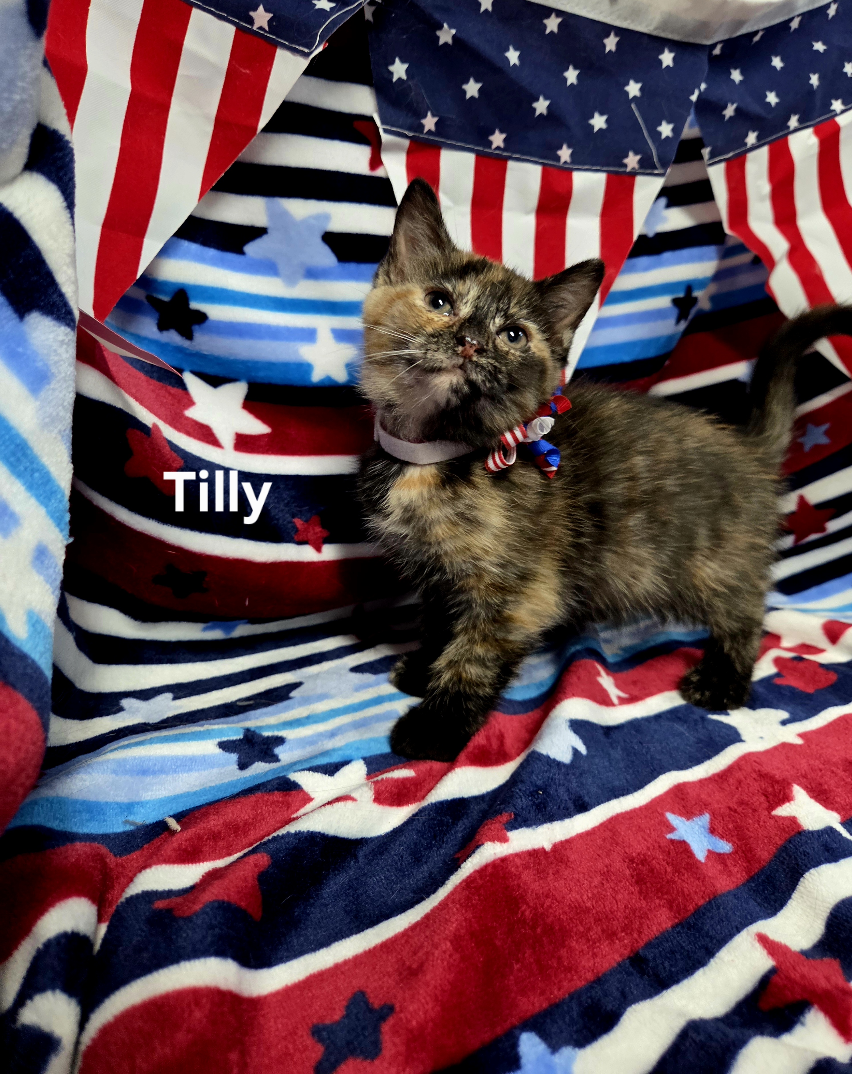 Tilly